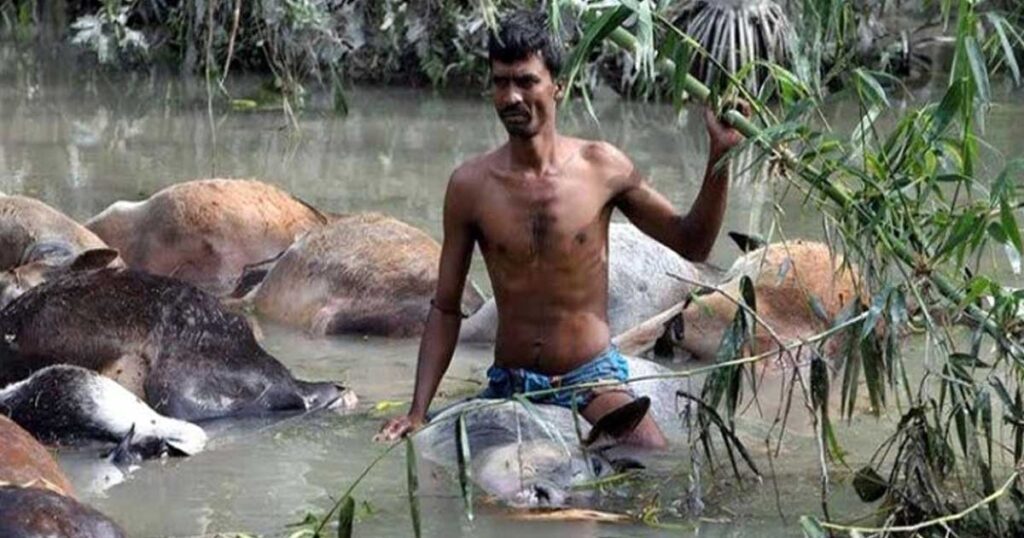 Cyclone devastation and coastal flooding damage in Bangladesh coastal areas